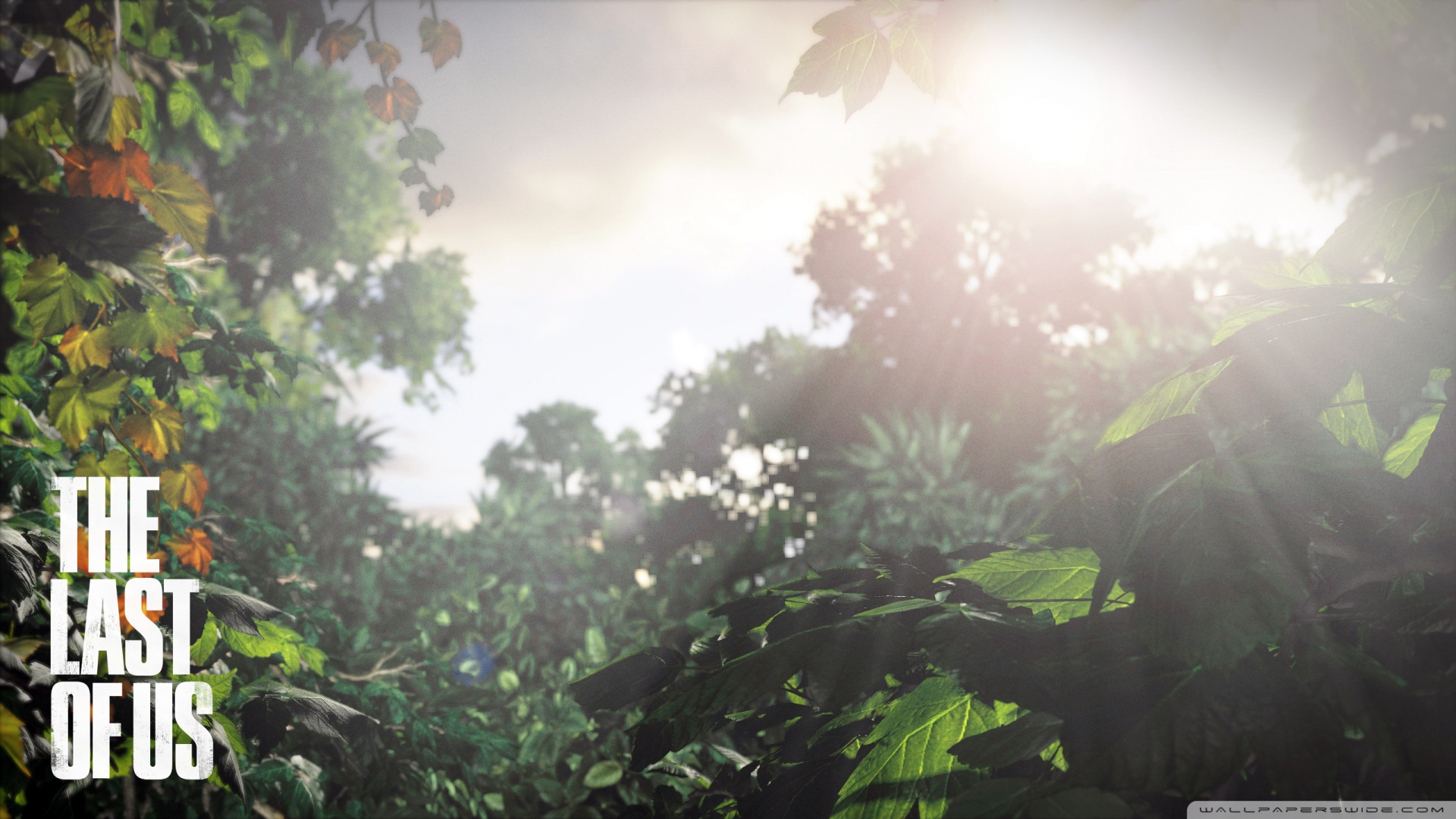 the_last_of_us_background-wallpaper-1920x1080